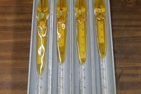 Is Thinner the Winner? Low Viscosity Engine Oil Runs the Gauntlet